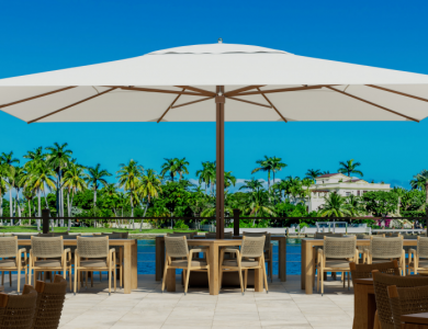 צילום מסך 2024-09-15 122846