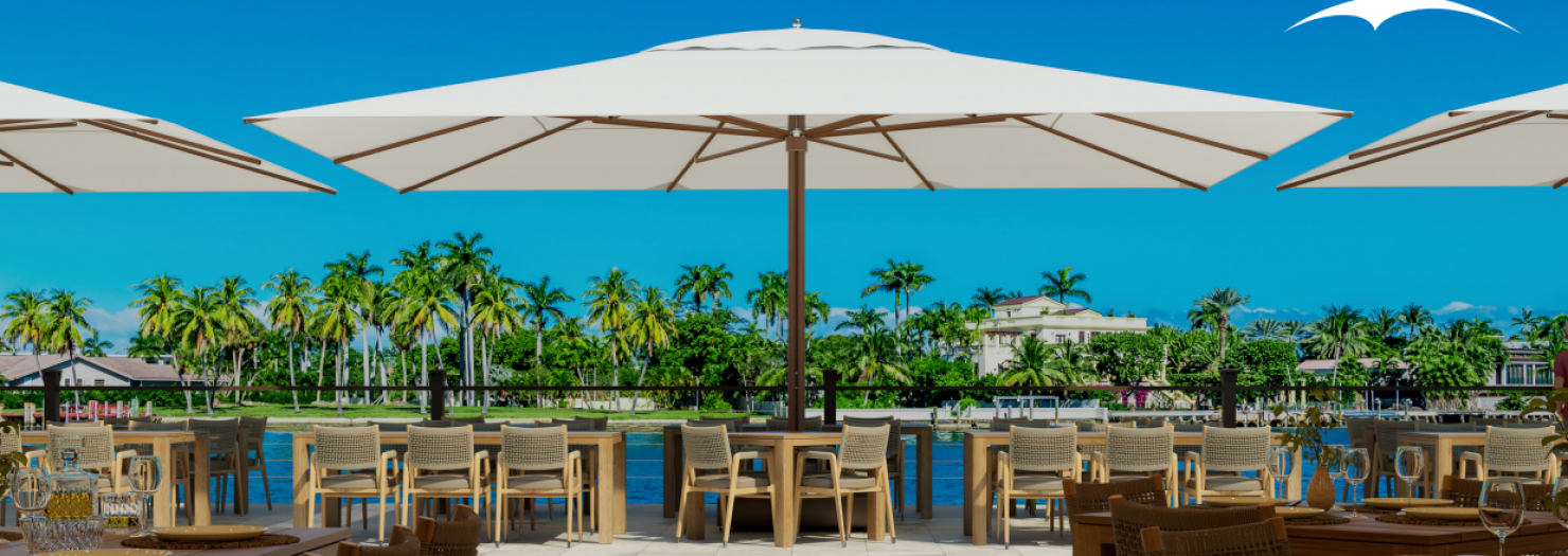 צילום מסך 2024-09-15 122846